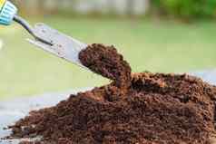 泥炭莫斯肥料土壤有机农业植物日益增长的生态概念