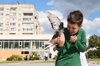 十几岁的男孩喂养岩石鸽子在户外概念善良爱护理动物