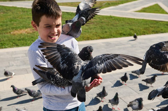 高加索人青少年男孩喂养群飞行鸽子夏天<strong>城市公园广场</strong>孩子们野生动物