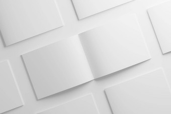 信景观鞍针双褶宣传册目录白色空白呈现模型