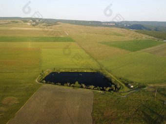 空中视图湖包围绿色小麦场农村场小麦吹风绿色海耳朵大麦作物自然农<strong>学行</strong>业食物生产