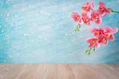 木地板上蓝色的墙粉红色的颜色兰花装修空房间背景