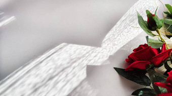 背景纹理美丽的白色红色的玫瑰光影子太阳摘要车框架框架玫瑰复制空间的地方文本概念美礼物假期