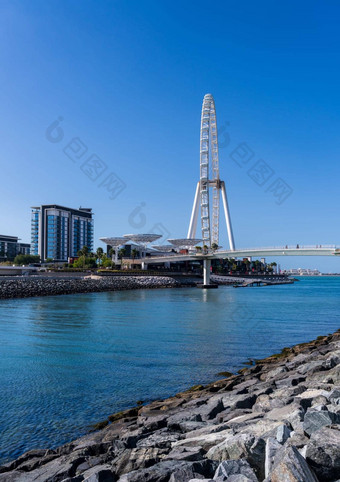 桥因<strong>迪拜</strong>观察轮蓝水岛JBR海滩
