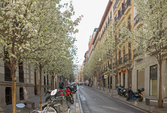 街道马德里春天马德里西班牙3月arenal街市中心马德里西班牙欧洲