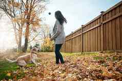 获取有吸引力的年轻的女人玩获取狗秋天一天花园