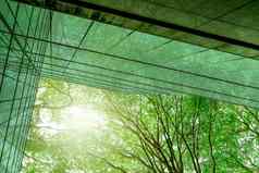 可持续发展绿色建筑环保建筑现代城市可持续发展的玻璃办公室建筑树减少碳二氧化物办公室绿色环境企业建筑减少