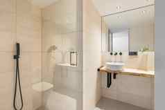 光米色平铺的浴室现代固定装置水槽淋浴厕所。。。建筑公寓概念购买首页室内设计