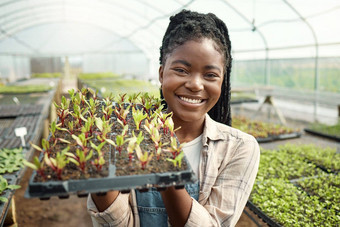 年轻的农民携带托盘植物肖像农民持有植物农民携带农业托盘快乐女人工作农场非洲美国农民携带日益增长的幼苗