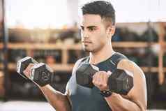 集中教练手臂卷发重权重肌肉发达的强大的运动员提升重哑铃健身房健美运动员建筑强大的肱二头肌锻炼关键健康的身体