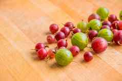 红色的绿色醋栗木背景浆果生物园艺概念新鲜的成熟的红色的绿色醋栗