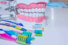 牙科模型牙刷美白牙护理牙齿健康的概念类型牙刷美丽的微笑概念牙科减少牙牙模型