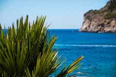 美丽的夏天全景海景视图海岸线海海湾水晶清晰的Azure水背光阳光光Paleokastrica科孚岛爱奥尼亚群岛希腊