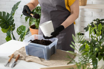 园艺首页特写镜头女人种植浇水绿色植物浇水首页盆栽绿色植物首页首页丛林花装饰花店商店概念