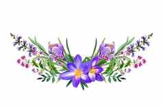野生场紫罗兰色的花花束手画