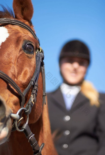 马女人特写镜头骑马准备好了开始体育运动竞争培训骑手户外太阳女人头盔骑马显示女马术动物