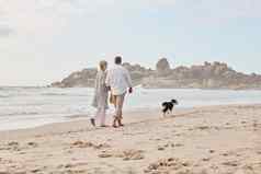 爱海滩后视镜拍摄充满深情的中间岁的夫妇走手手海滩狗