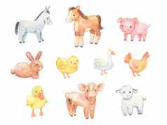 可爱的婴儿驴羊肉鸡孤立的白色水彩农场动物集