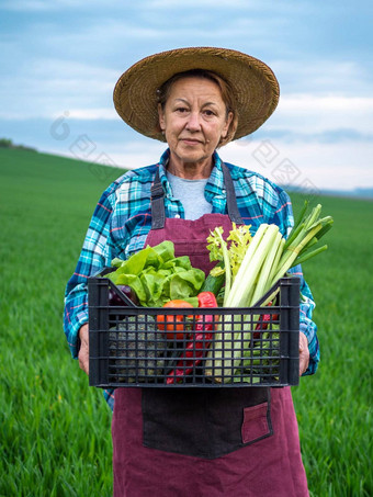 高级女人农民完整的长度肖像穿稻草他篮子新鲜的蔬菜走场蔬菜日落生物蔬菜