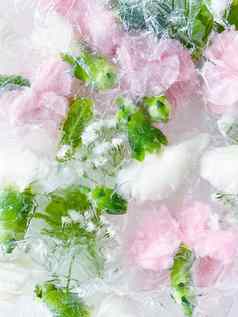 康乃馨花园花冻冰背胶