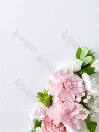 粉红色的花各种各样的粉红色的花边境白色