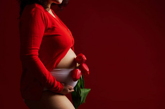 上腹部怀孕了女人持有群红色的郁金香触碰肚子孤立的背景复制空间