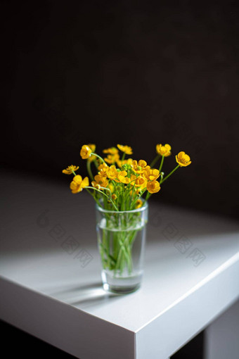 作文明亮的黄色的野生花玻璃烧杯