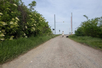 无人机拍摄女人狗走农村铁路农村字段植被