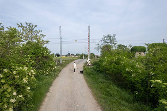 无人机拍摄女人狗走农村铁路农村字段植被