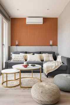 垂直拍摄时尚的生活房间Terracotta墙沙发现代室内配件表格大坐垫概念舒适的时尚的房间