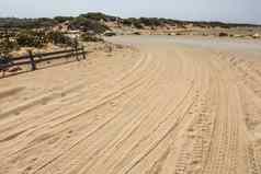 车轮胎打印路领先的海滩覆盖沙子