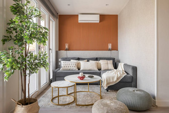 舒适的小生活房间Terracotta颜色墙时尚的配件家具大窗户自然光概念美丽的功能室内Copyspace
