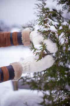 软温暖的针织连指手套持有冷杉嫩枝冬天