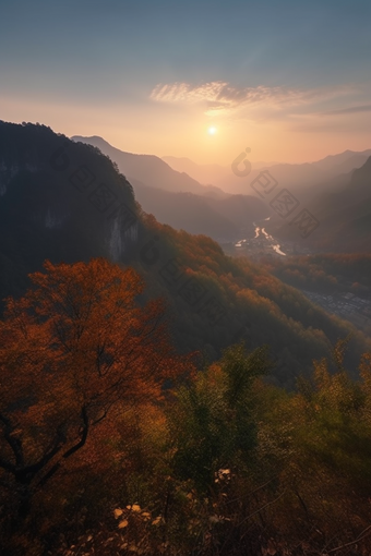 暖色调夕阳山景植物阳光