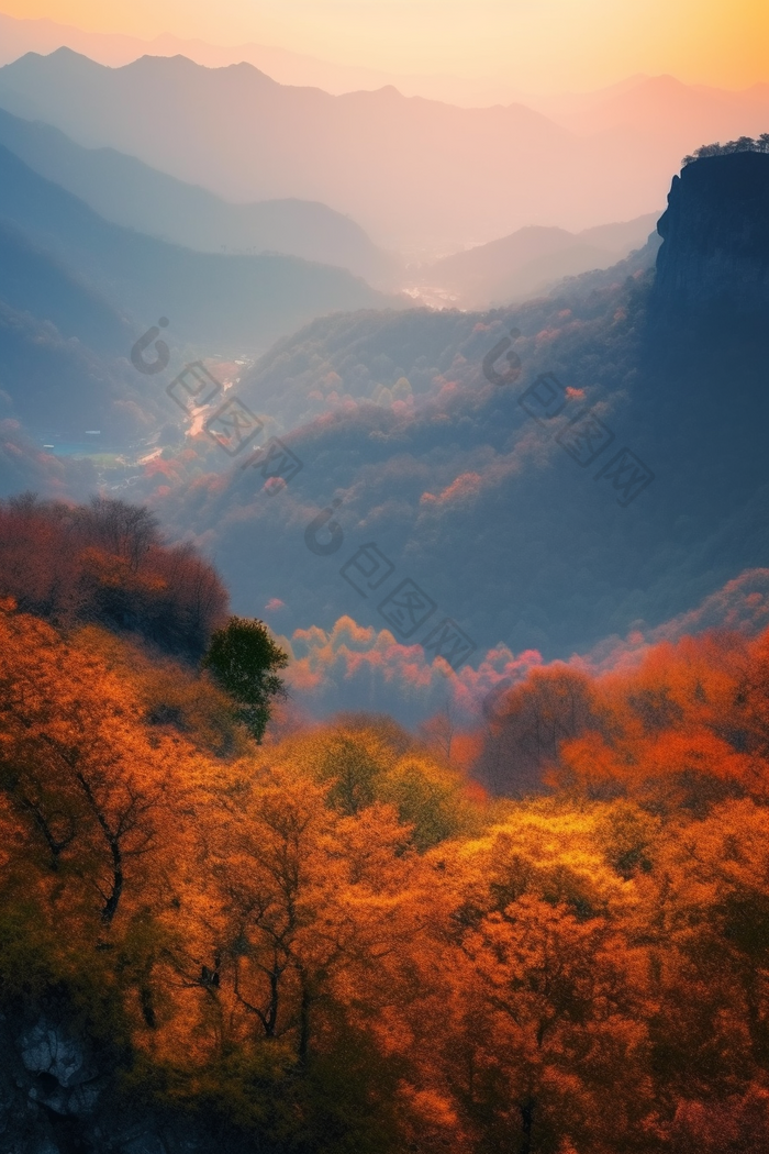 暖色调夕阳山景鲜花峰