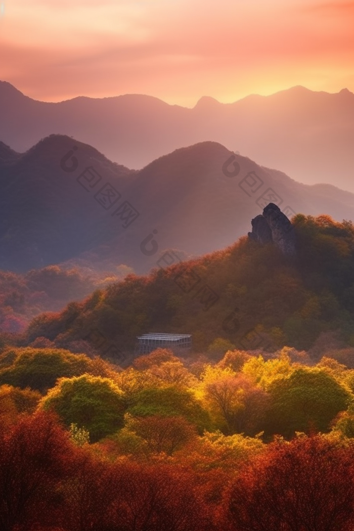 暖色调夕阳山景植物顶