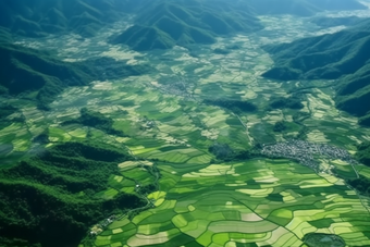 绿色稻田乡村发展植物纹理