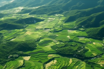 绿色稻田乡村发展农村农作物