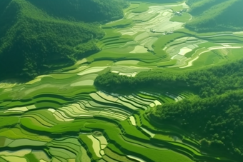 绿色稻田乡村发展农业梯田