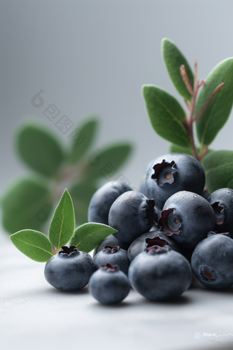 新鲜的蓝莓营养白色