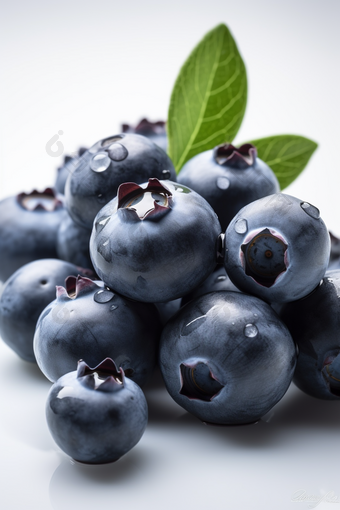 新鲜的蓝莓水果白色