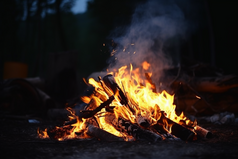 户外野营的篝火摄影图17