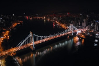 夜晚城市中的跨海大桥猩红风格摄影图19