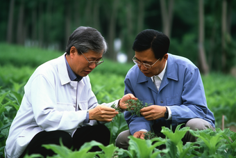 科研助农的科学家和农民中国科学家农业