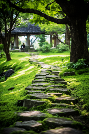 公园石板路花园石阶