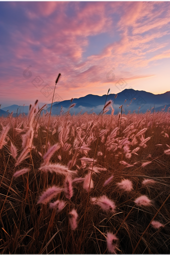 夕阳下的山脉唯美竖图云草坪