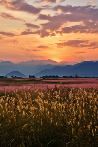 夕阳下的山脉唯美竖图云彩云