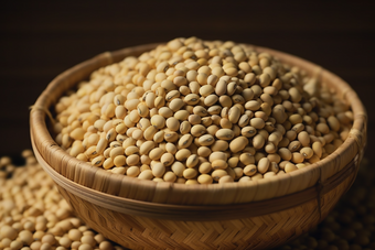 五谷营养黄豆豆制品商业摄影