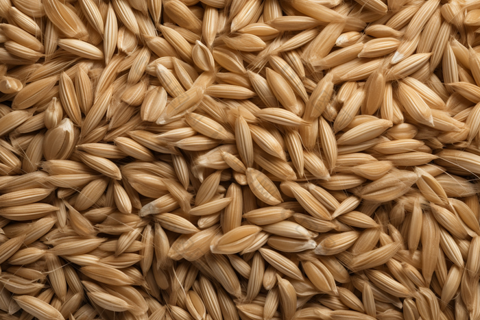 散落桌面的大麦颗粒麦粒麦穗
