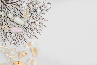 小美丽的瓶甜蜜的新鲜的香水树分支机构珍珠贝壳